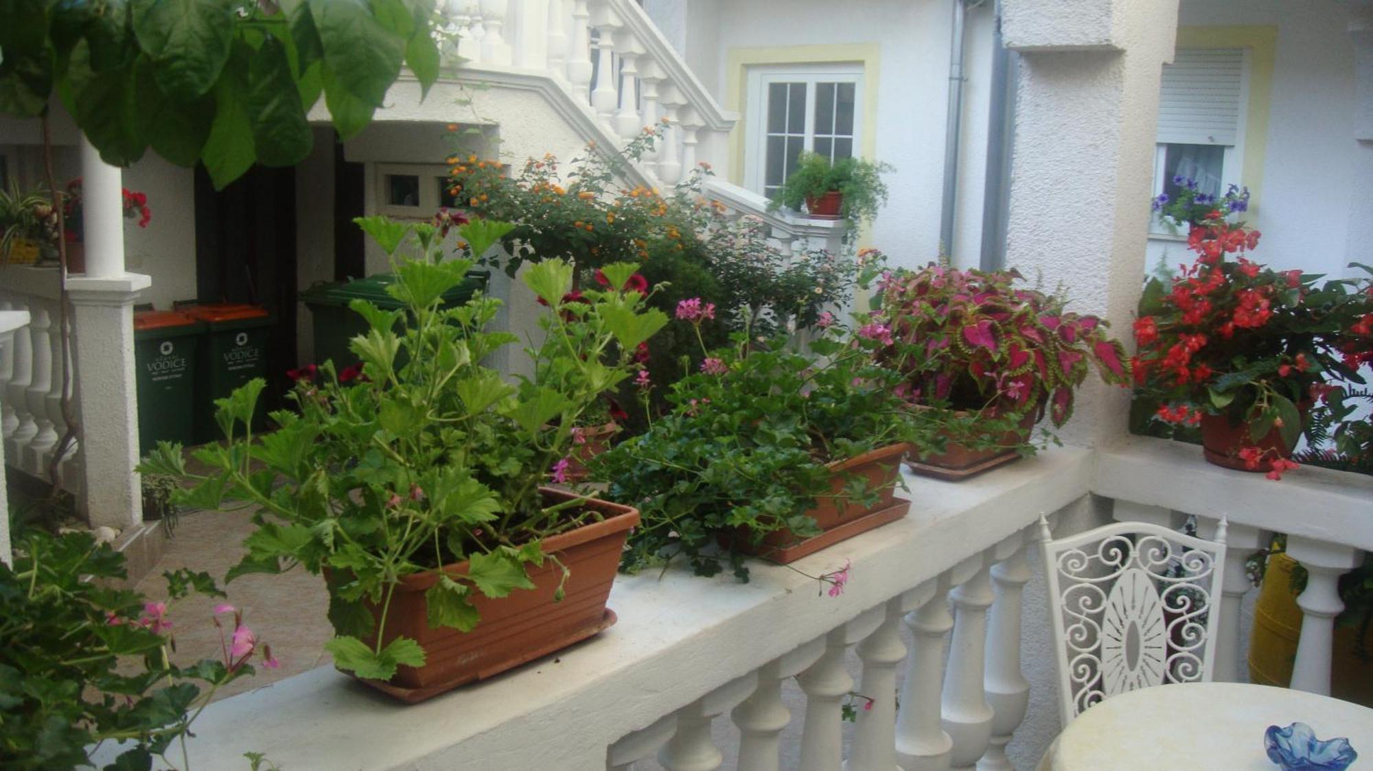Apartments Vodice Marica Bilik gambar